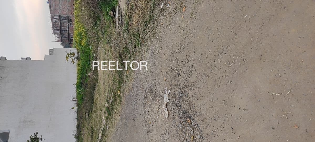 Plots For Rent In Mundjori Lachhmangarh