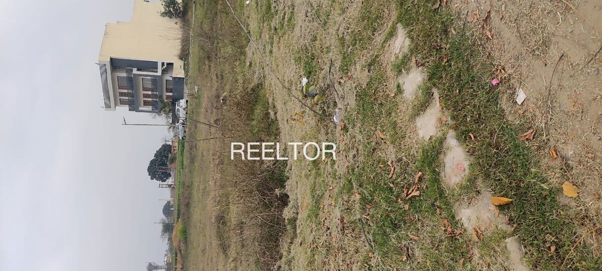 Plots For Rent In Umachagi Kundagolau