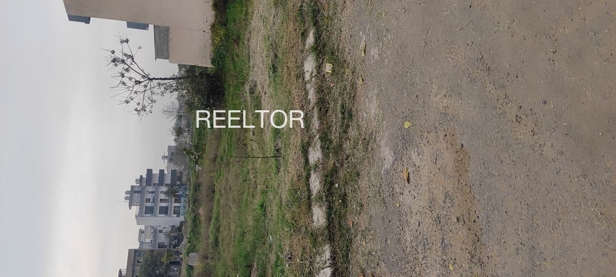 Plots For Rent In Deorala Gangolihat