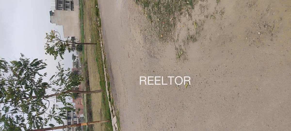 Plots For Rent In Thalaiyamangalam Orathanadu