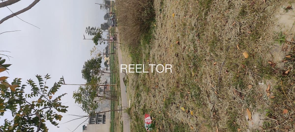 Plots For Rent In Yewalwadi Patoda