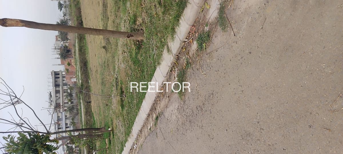 Plots For Rent In Kajat Shimla