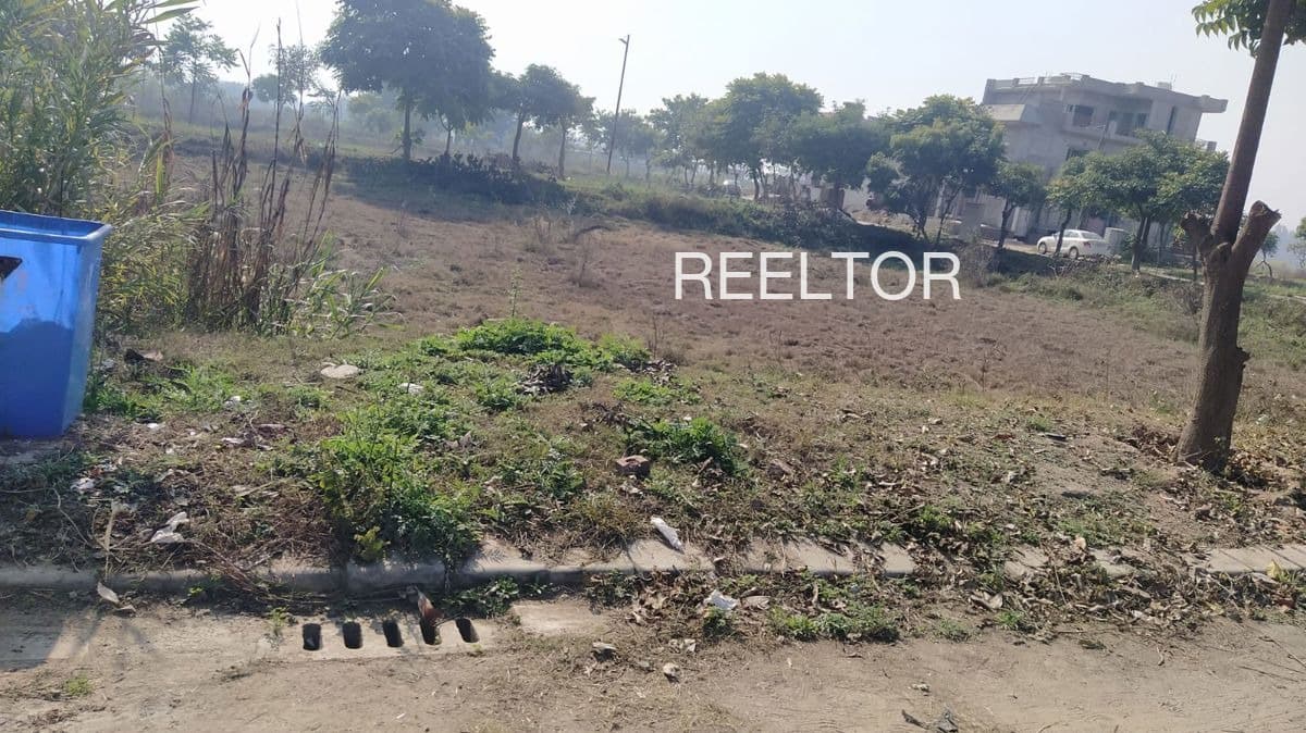 Plots For Rent In Jhalri Jubbal