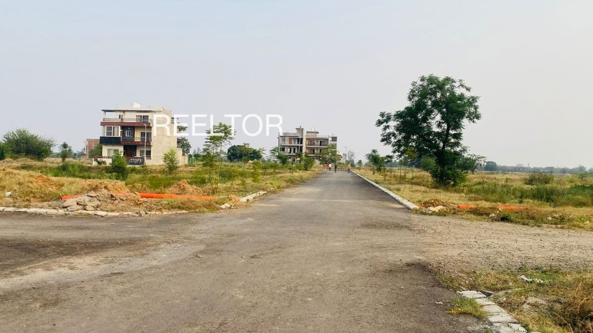 Plots For Rent In Rajuwali Neem Ka Thana