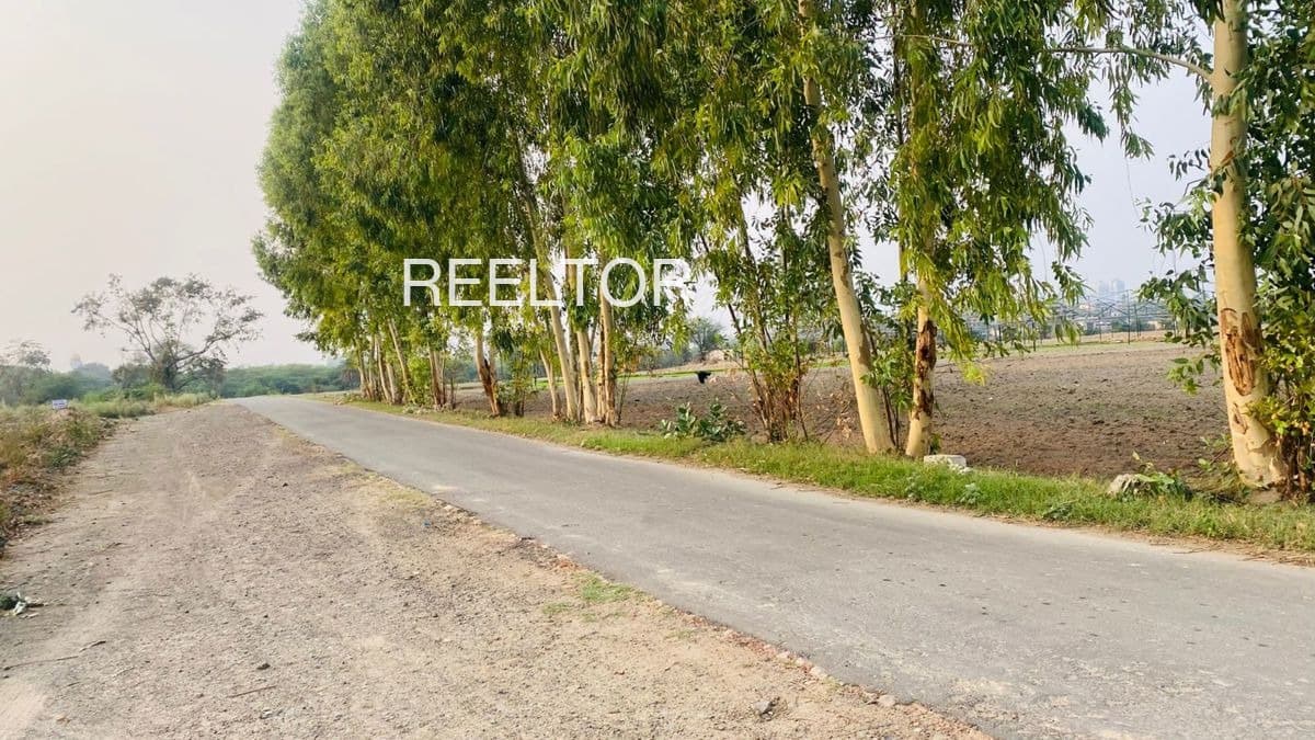 Plots For Rent In Sanarpalaiyam Arani