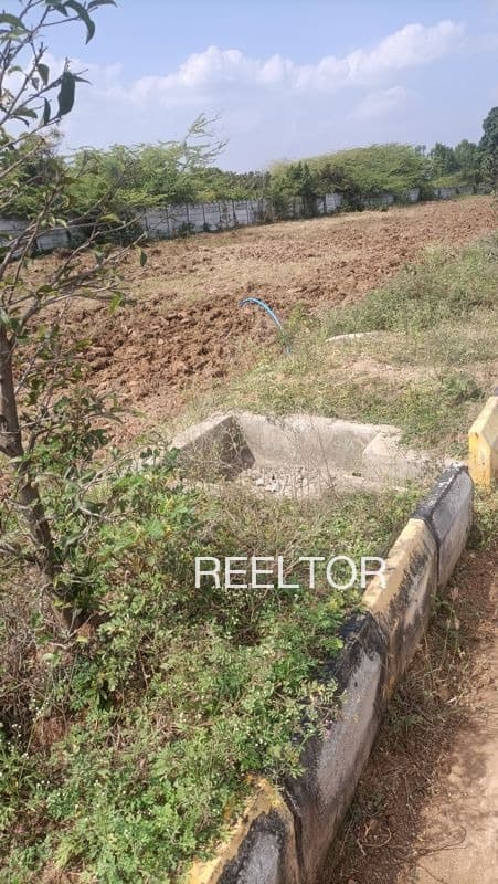 Plots For Rent In Kanakatrewadi Atpadi
