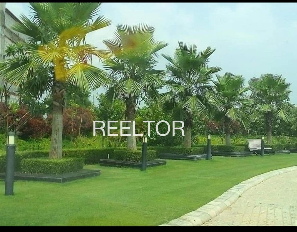 Plots For Rent In Udgatti Harapanahalliu