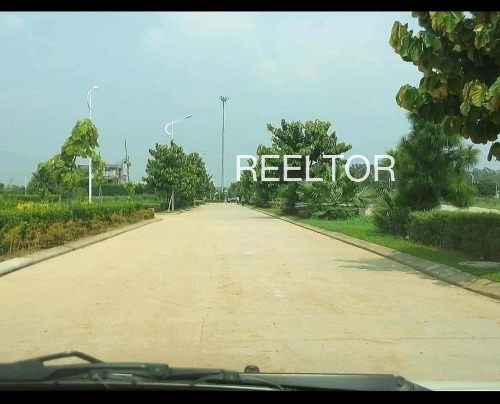 Plots For Rent In Latoi Berasia