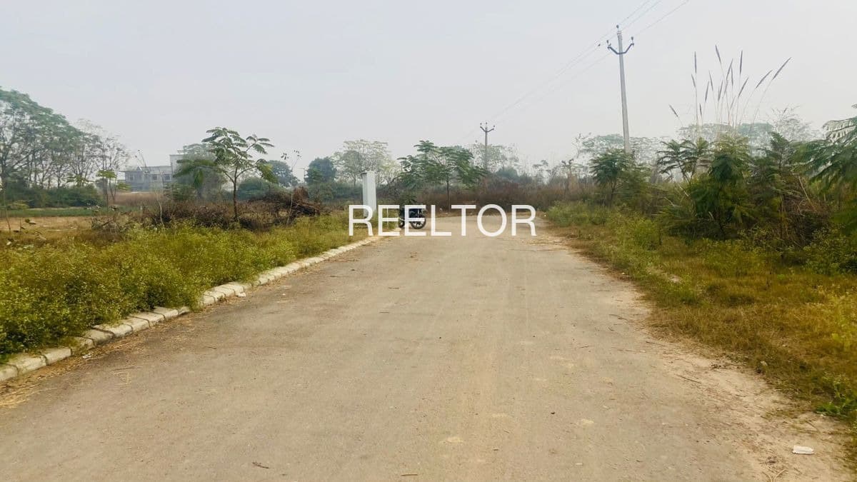 Plots For Rent In Thoppapatty Rasipuram