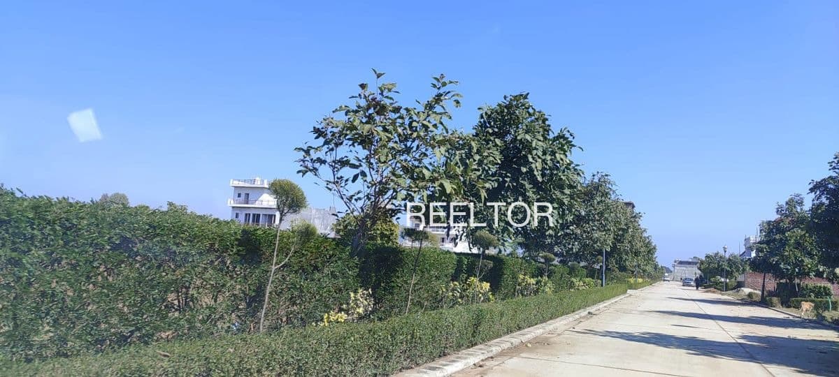 Plots For Rent In Sanga Chirota Doda