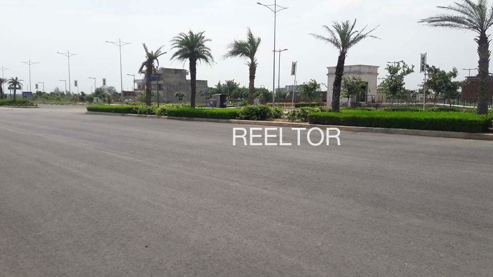 Plots For Rent In Babina Uttar Pradesh