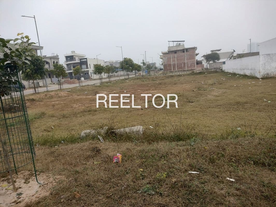 Plots For Rent In Raipurabuzurg Seondha