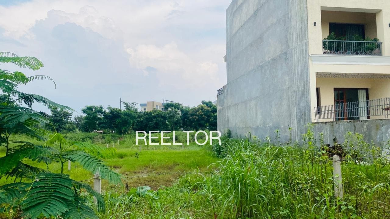 Plots For Rent In Shingimari Tufanganj