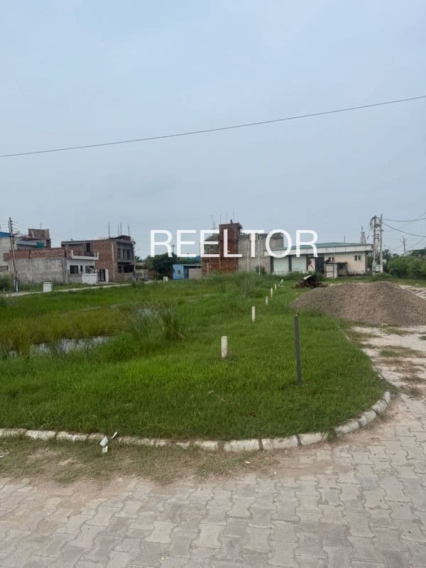Plots For Rent In Jholang Parla Udaipur