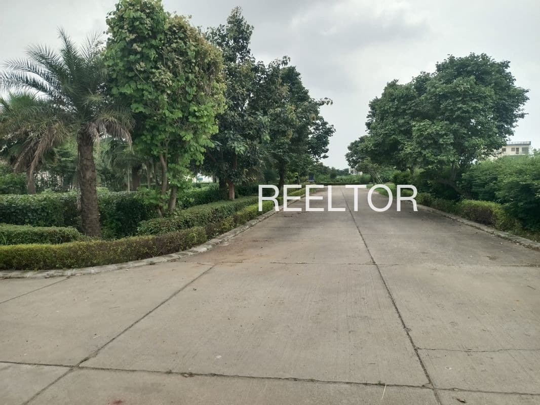 Plots For Rent In Old Kerali Jodiya