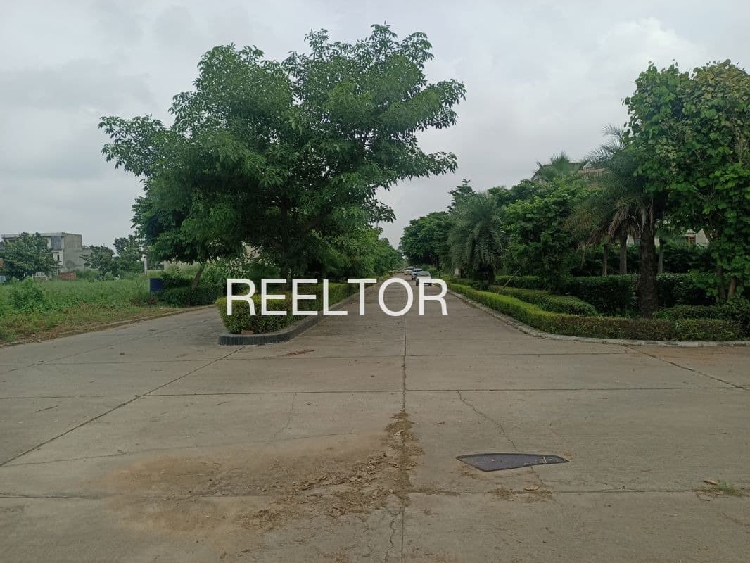 Plots For Rent In Shat Bhuntar