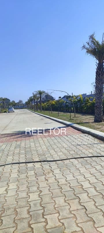 Plots For Rent In Lohani Bhiwani