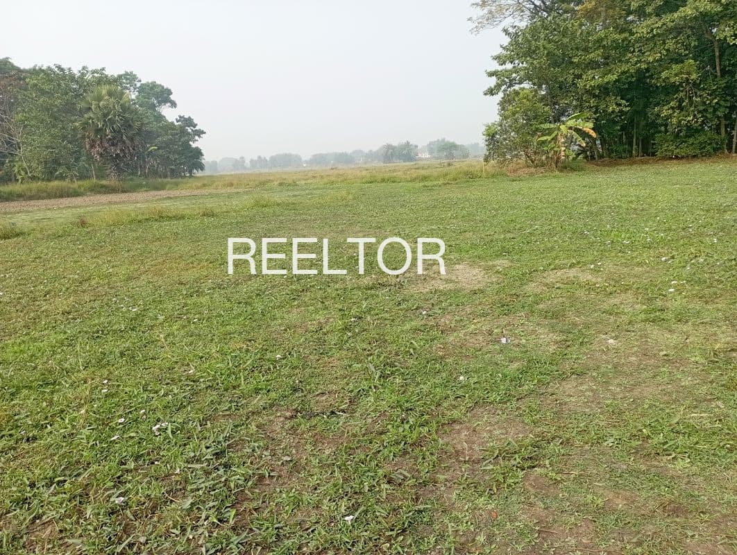 Plots For Rent In Jammapur Bhongiri