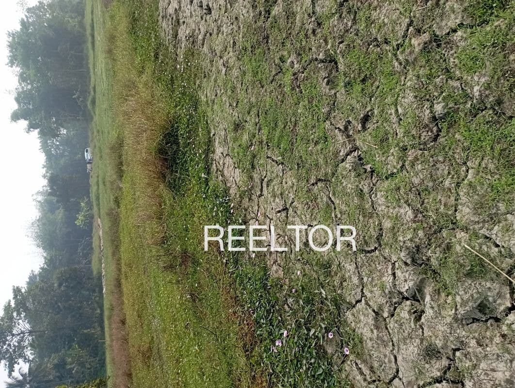 Plots For Rent In Madathur Tamil Nadu