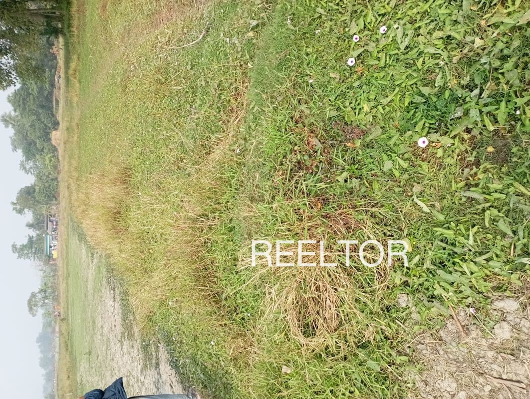 Plots For Rent In Amlawad Junnardar Nagda