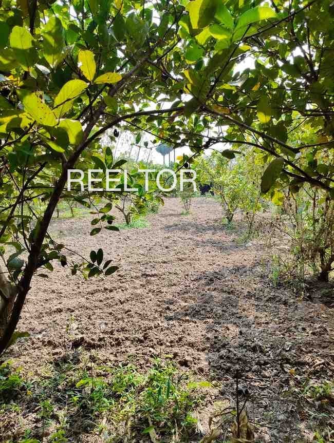 Plots For Rent In Veni Virapura Kurugodu