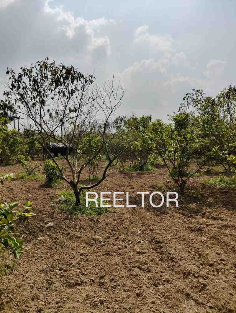 Plots For Rent In Patai Ghatigaon