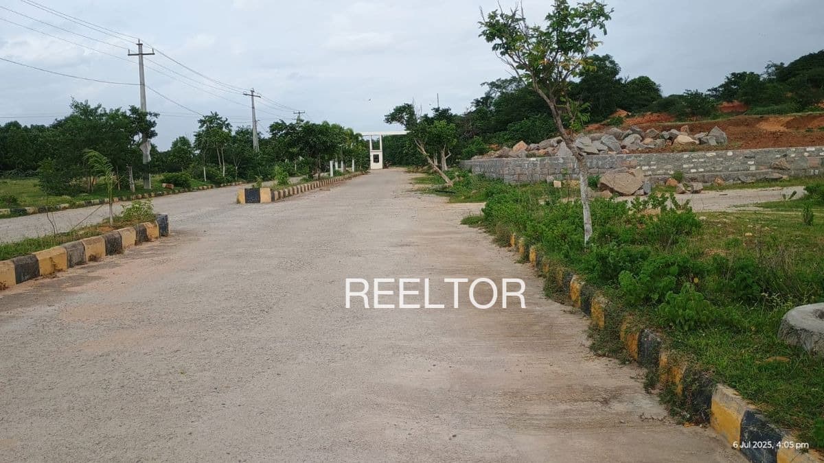 Plots For Rent In Bhilgun Sardarpur