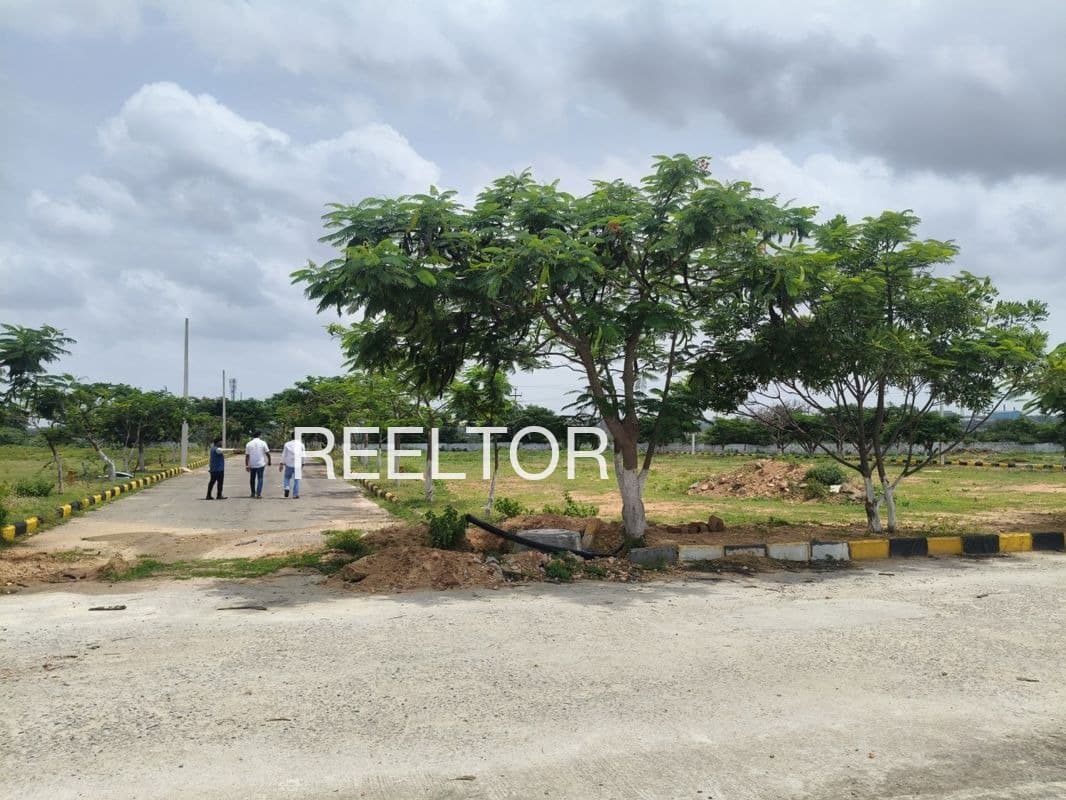 Plots For Rent In Pannankulam Alangudi