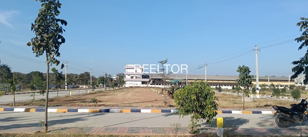 Plots For Rent In Masebi Rasoolpur Bilari