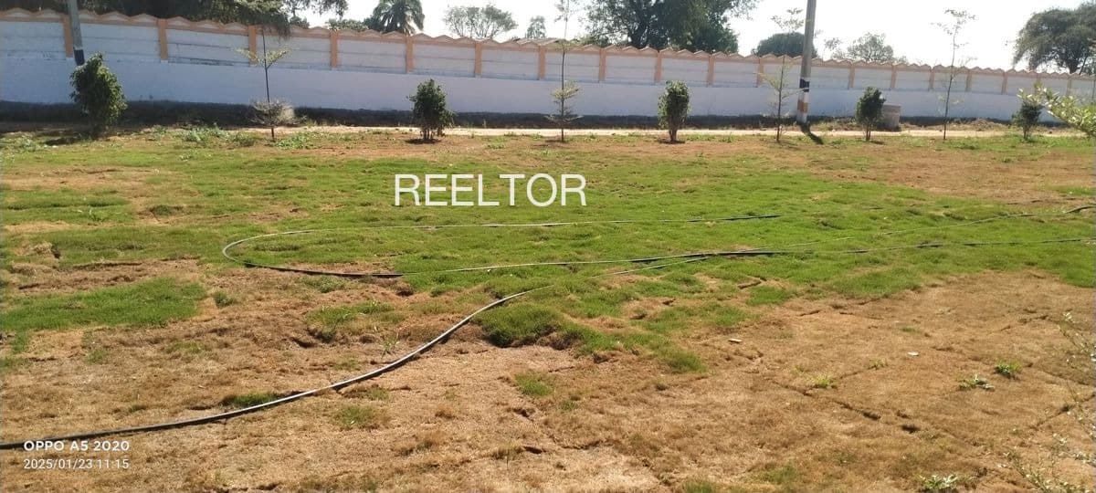 Plots For Rent In Jia Bhuntar