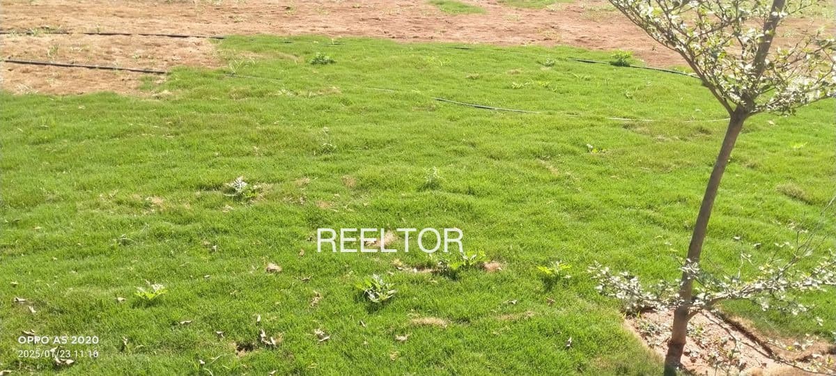 Plots For Rent In Gyanpura Bhind