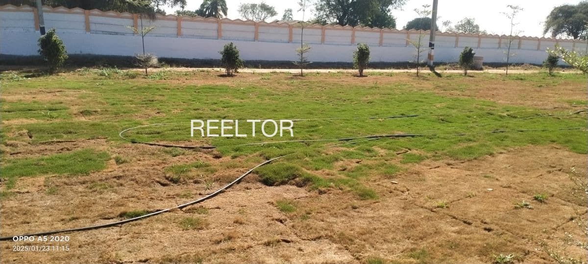 Explore 1 Bhk In Dalo Mazra For Sale Fatehgarh Sahib