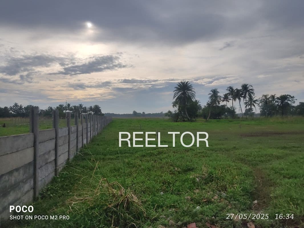 Plots For Rent In Paira Khedi Kurwai