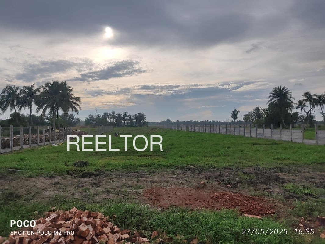 Plots For Rent In Jalah Mandi