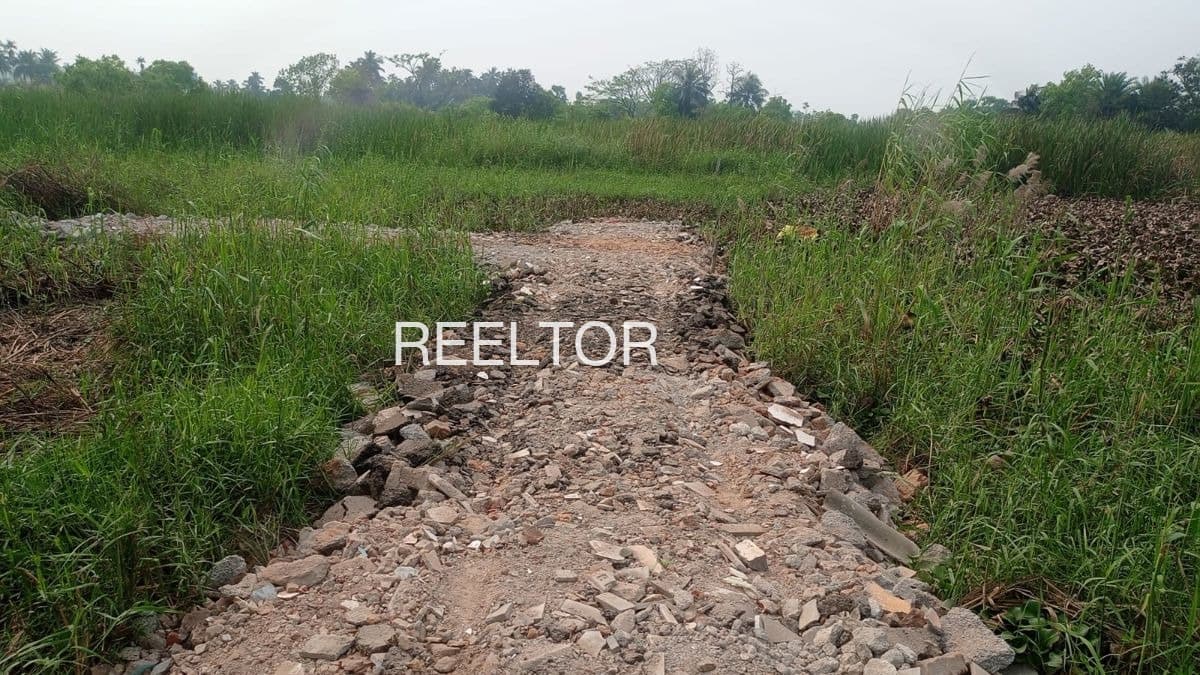 Plots For Rent In Kitchan Kattu Valavu Omalur