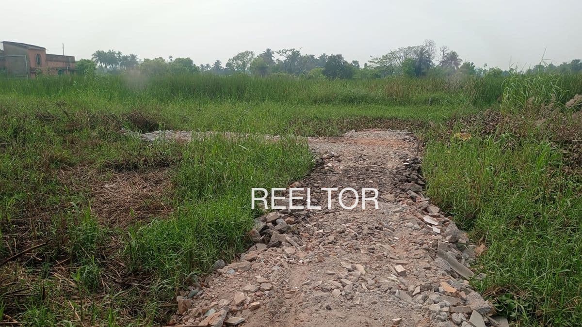 Plots For Rent In Raghunathpuri Ghaziabad