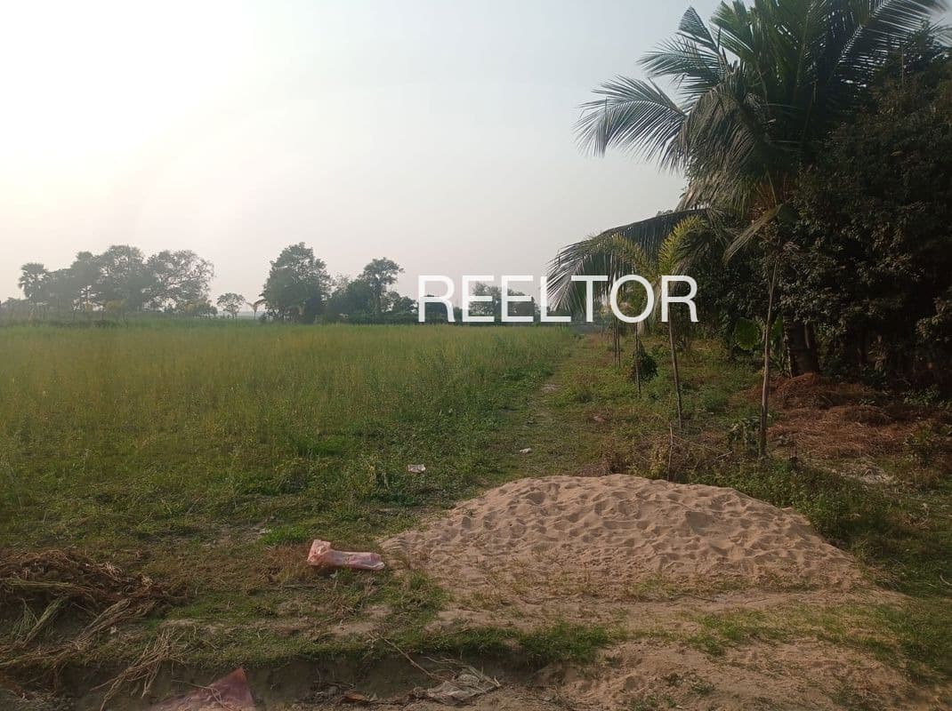 Plots For Rent In Sarkana Ghuwara