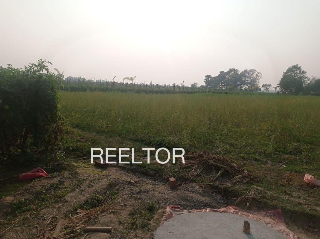 Plots For Rent In Chakjohad Nateran