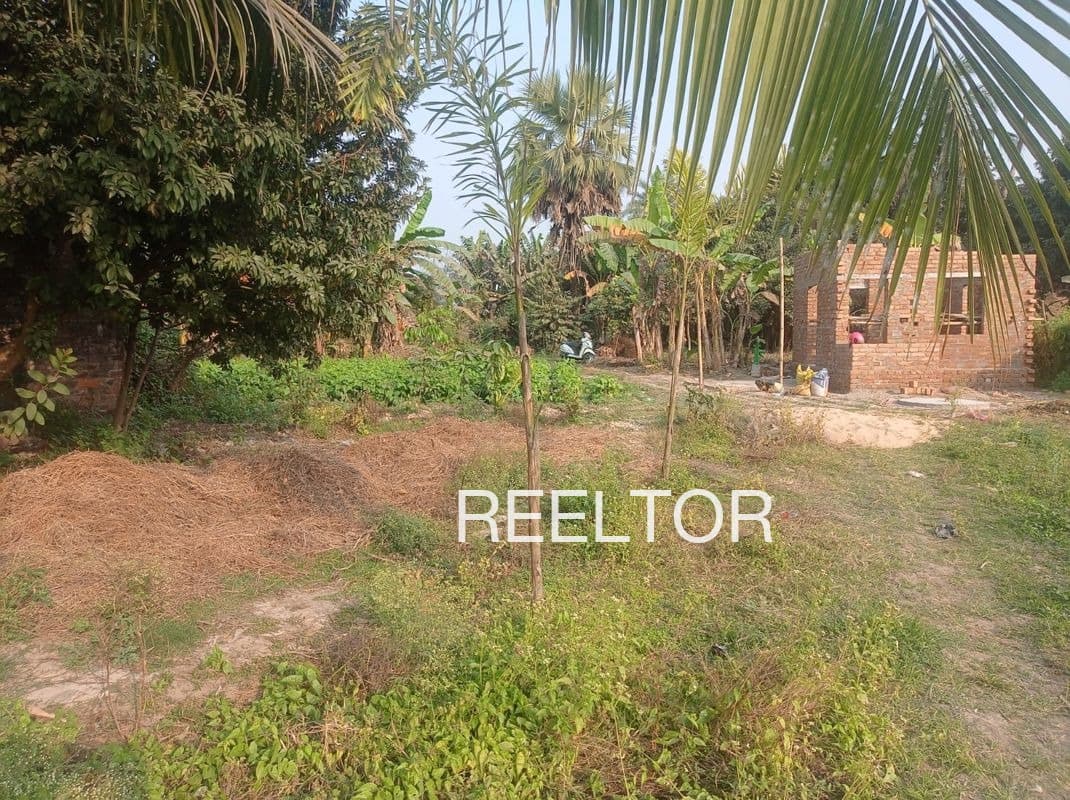 Plots For Rent In Thirumangalam Colony Chavakkad