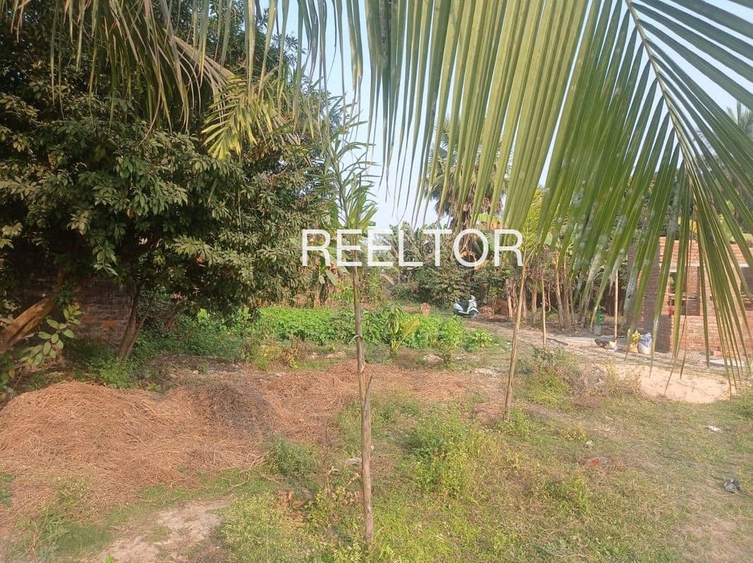 Plots For Rent In Ambe Dhanora Rith Pombhurna