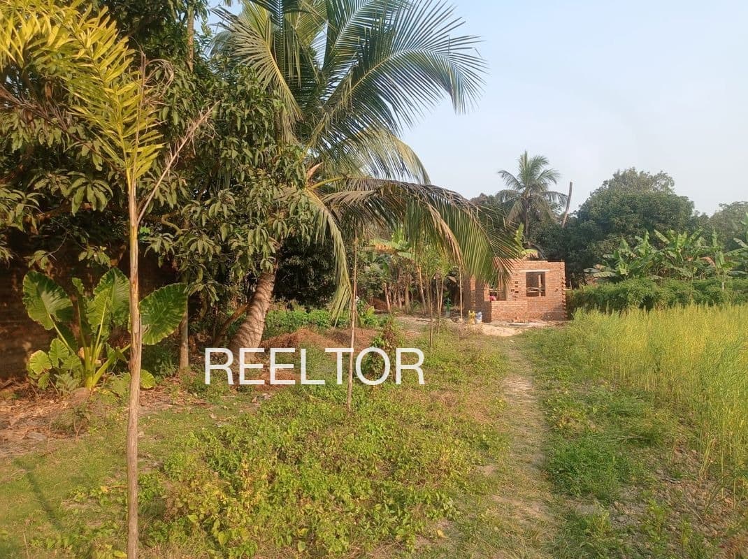 Plots For Rent In Patai Ghatigaon