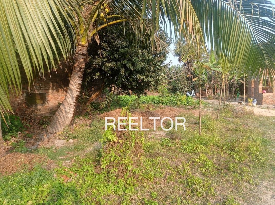 Plots For Rent In Mangaipura Aklera