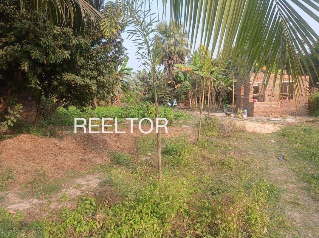 Plots For Rent In Sembiyanathur Kilvelur
