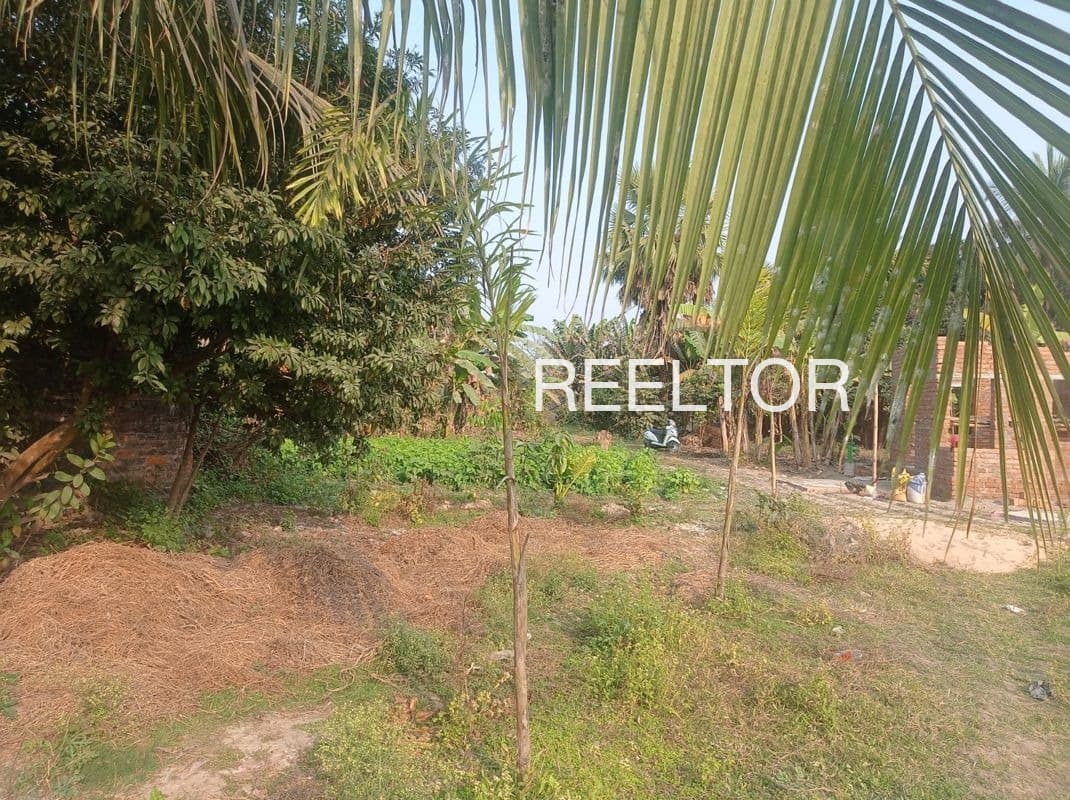 Plots For Rent In Chhirainta Shivpuri Tahsil