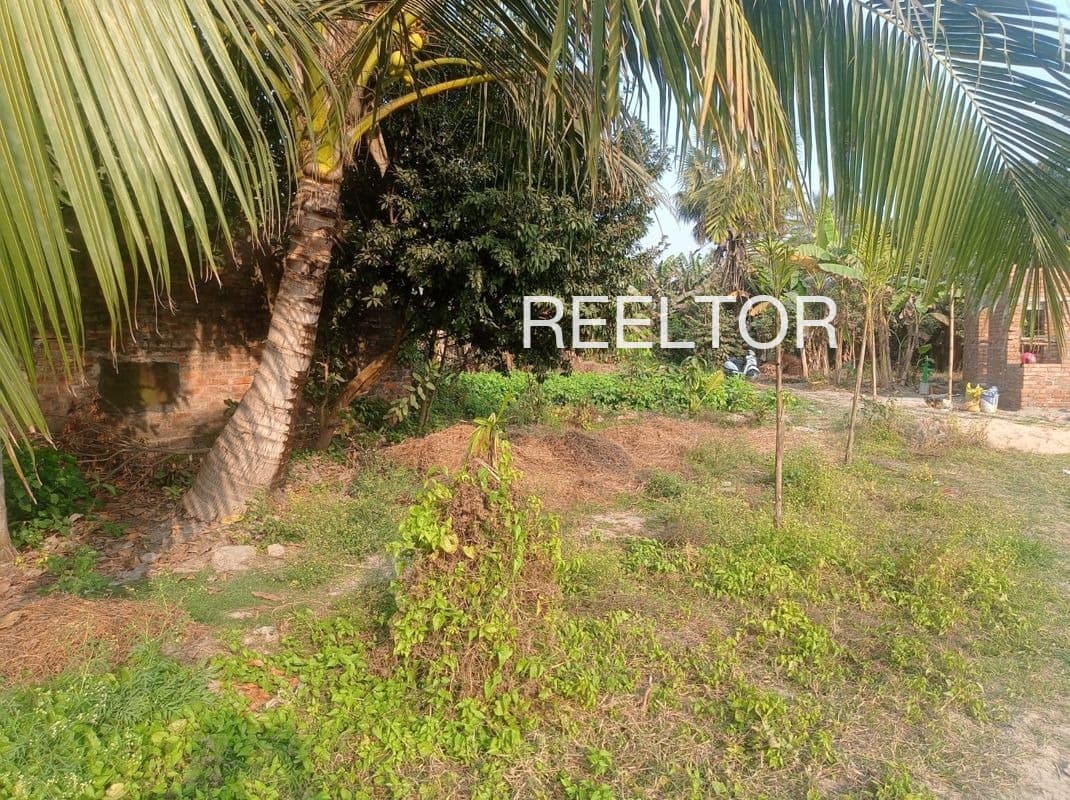 Plots For Rent In Peothana Mahagaon