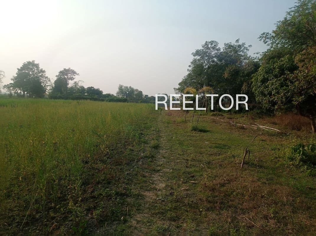 Plots For Rent In Raghunathpuri Ghaziabad