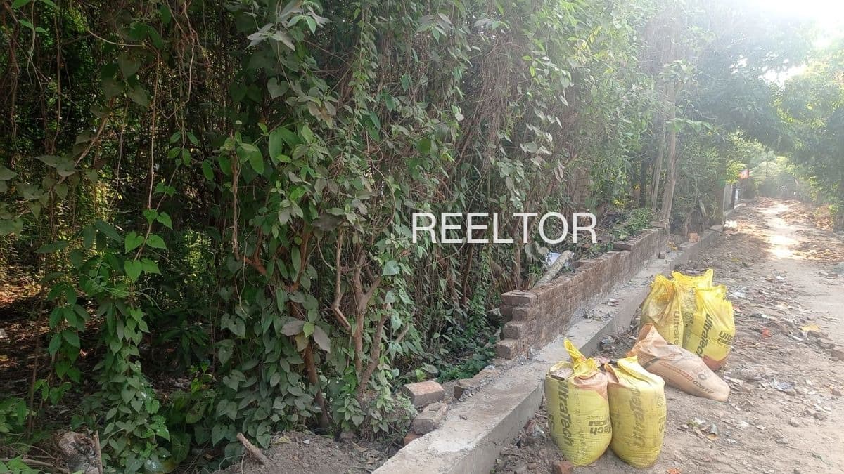 Plots For Rent In Gyanpura Bhind