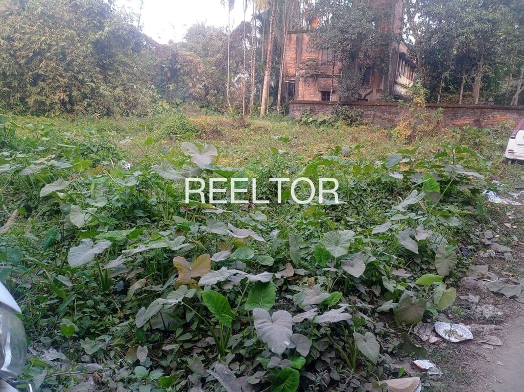 Plots For Rent In Mashwar Shalai
