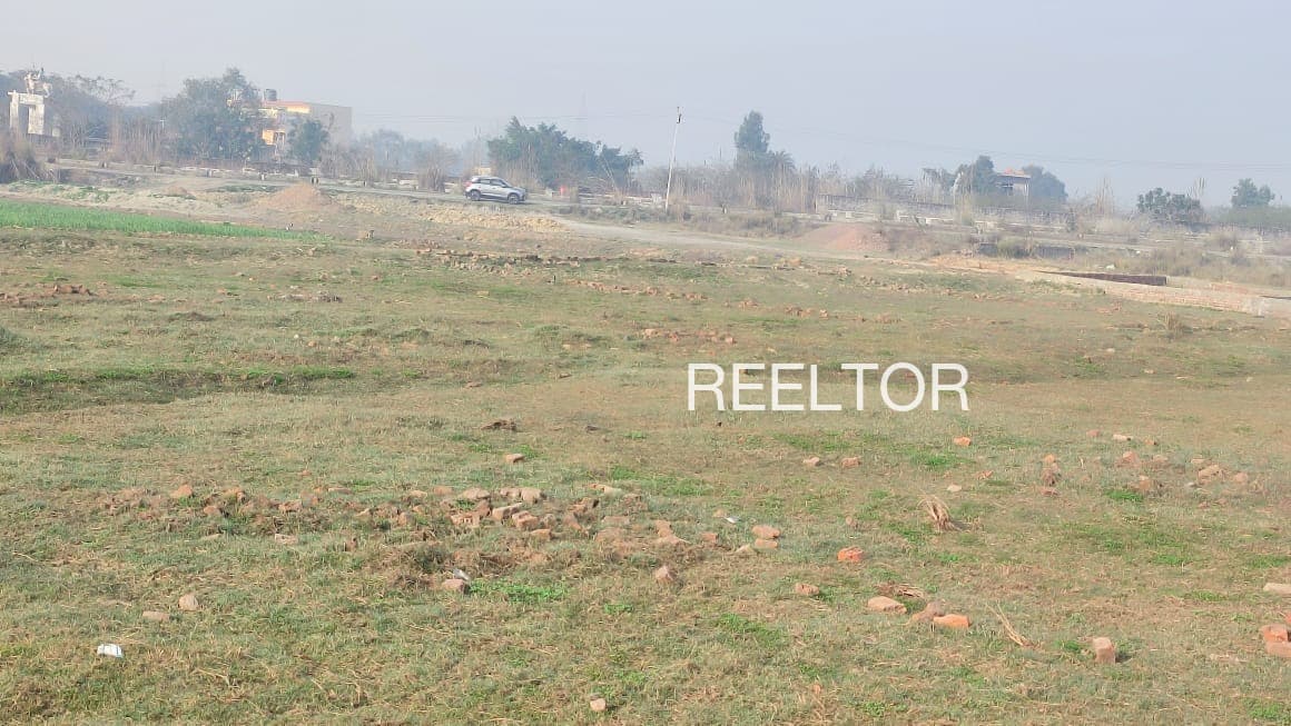 Plots For Rent In Sawa Mahun Karsog
