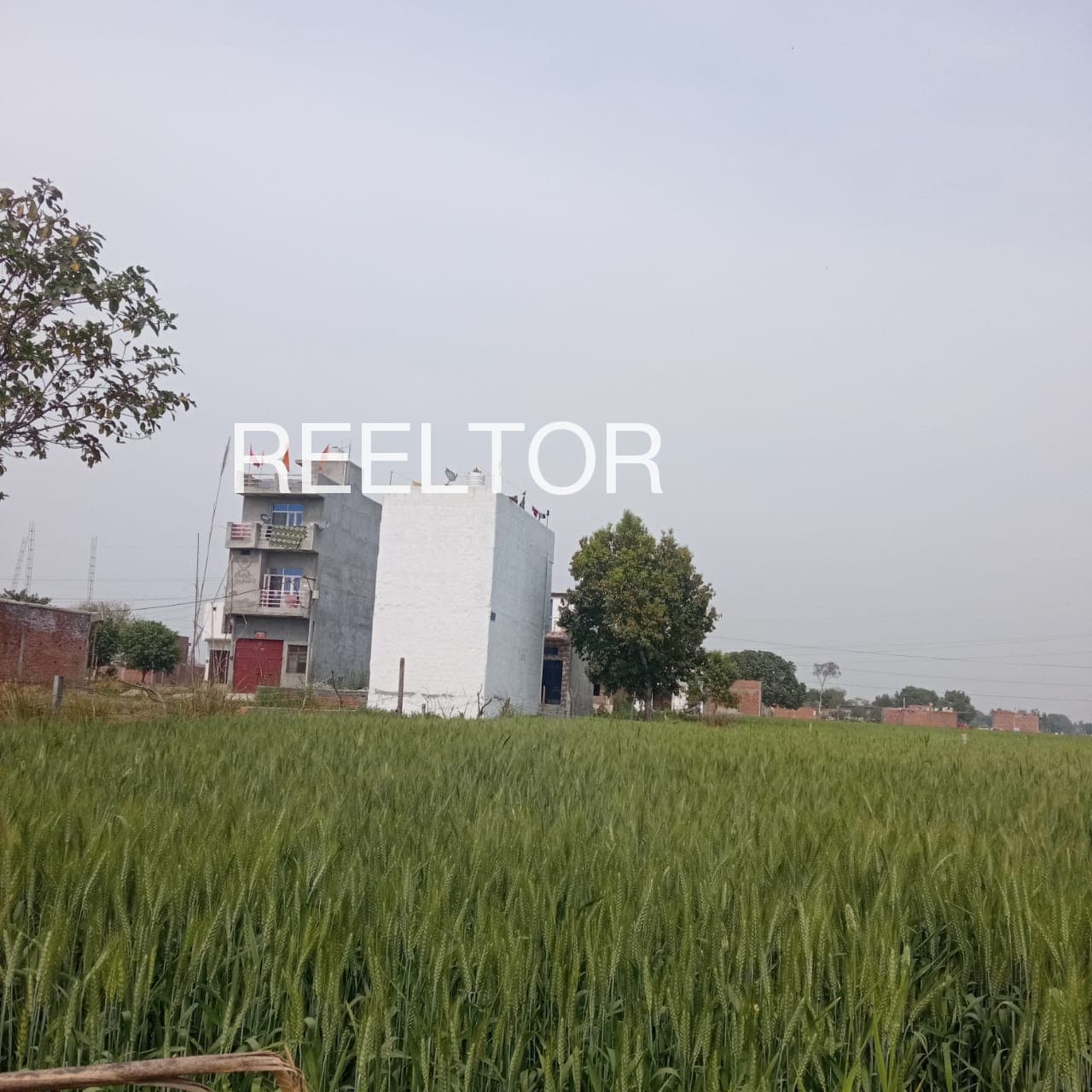 Plots For Rent In Dhekwad Nandurbar